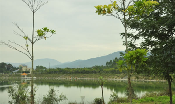 風景